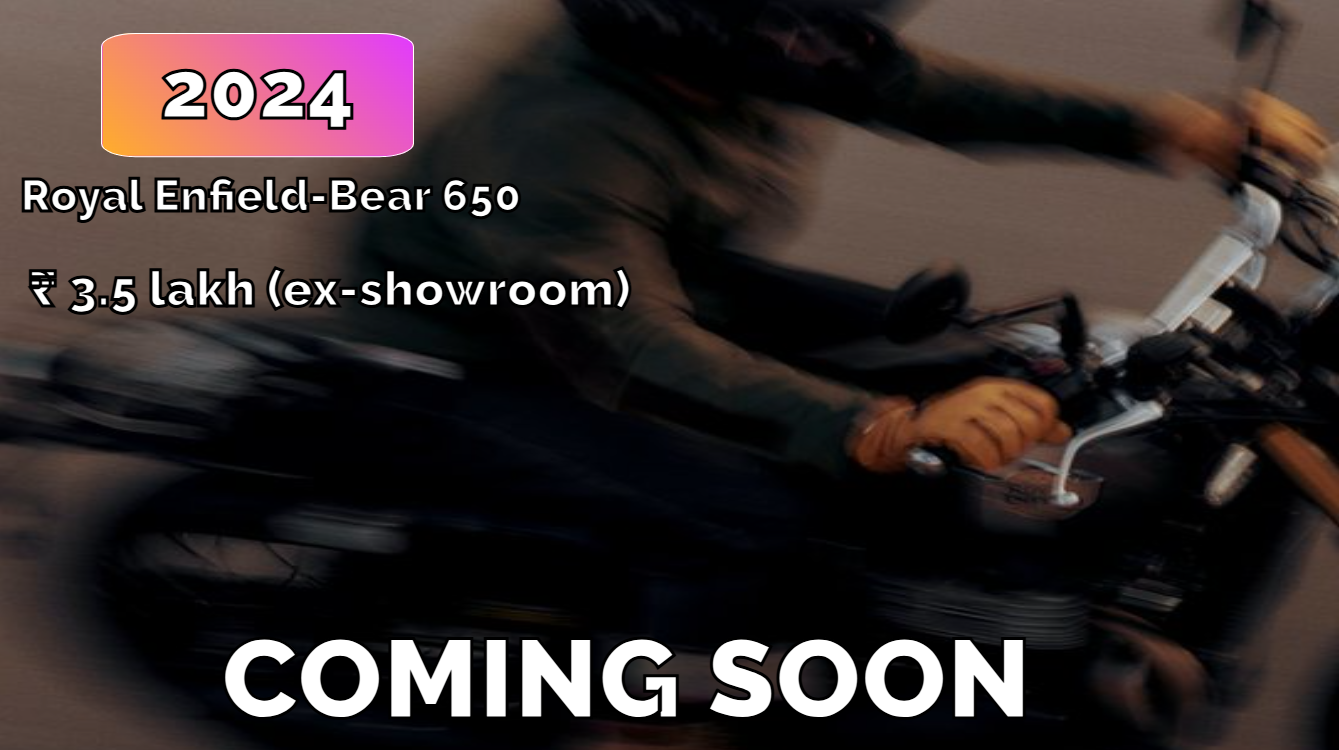 Bear 650