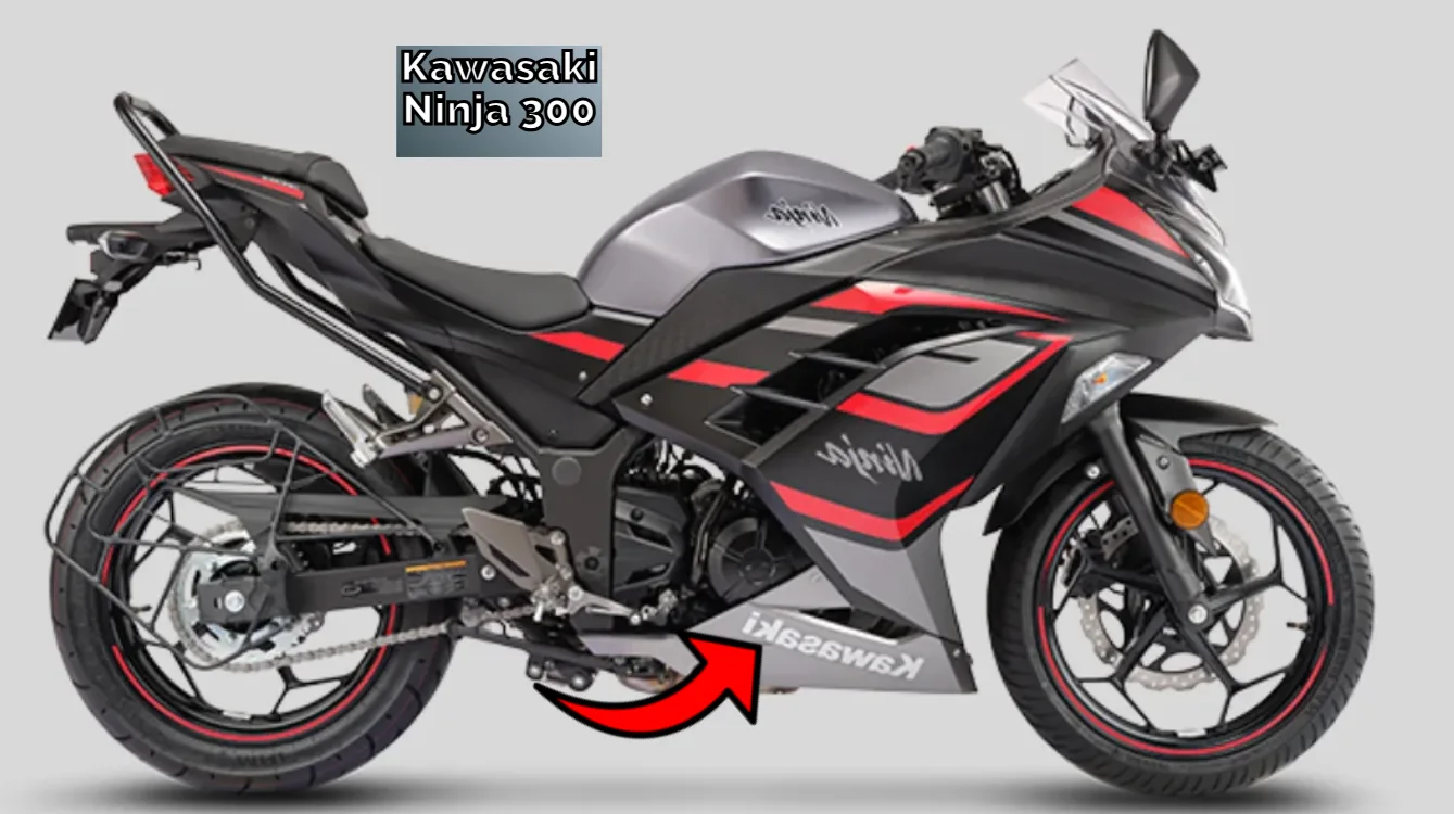 Kawasaki Ninja 300